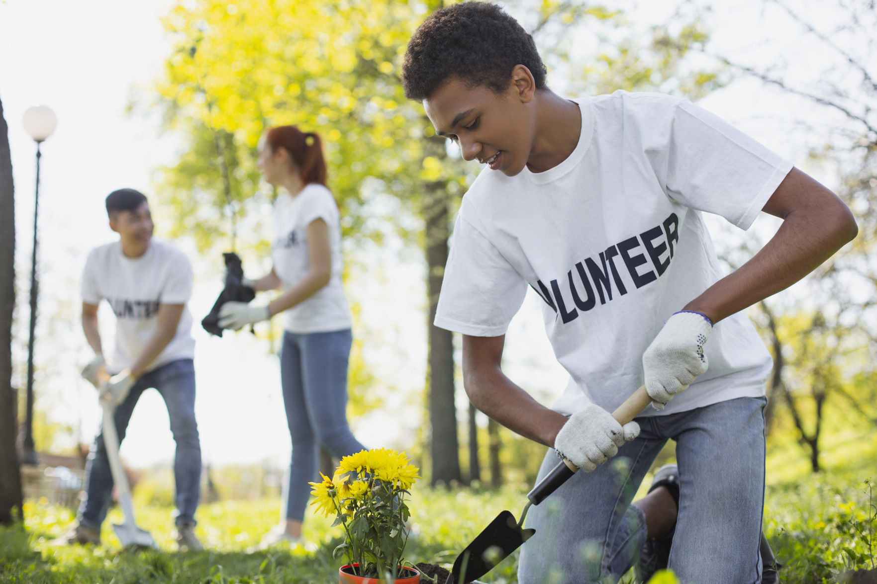 Find a volunteer gig